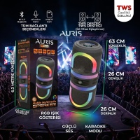 Auris KLN210 2x8 İnç Mikrofonlu TWS Bluetooth Party Hoparlör