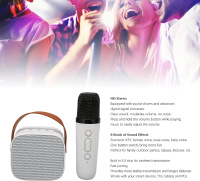 Oem K2 Yeni Stil Taşınabilir Karaoke bluetooth Mikrofonlu Hoparlör