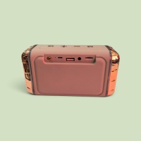 Platoon PL-4171 Işıklı Bluetoohtlu Müzik Kutusu