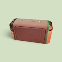 Platoon PL-4171 Işıklı Bluetoohtlu Müzik Kutusu