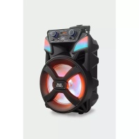 Subzero Wr169 Profosyonel Işıklı Kablosuzmikrofonlu Müzik Kutusu