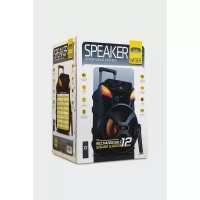 Subzero Wr169 Profosyonel Işıklı Kablosuzmikrofonlu Müzik Kutusu